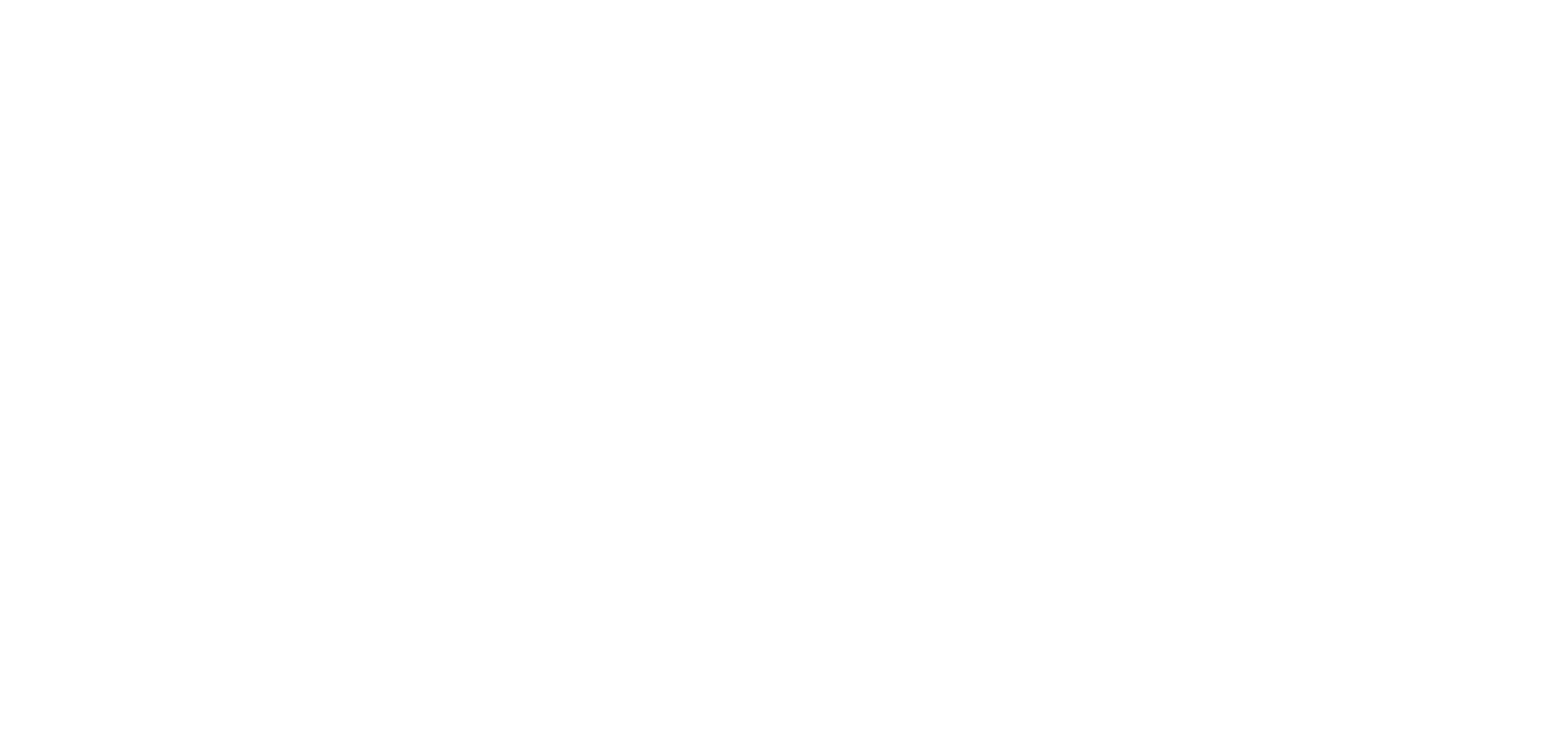 VHwhite logo transparent background