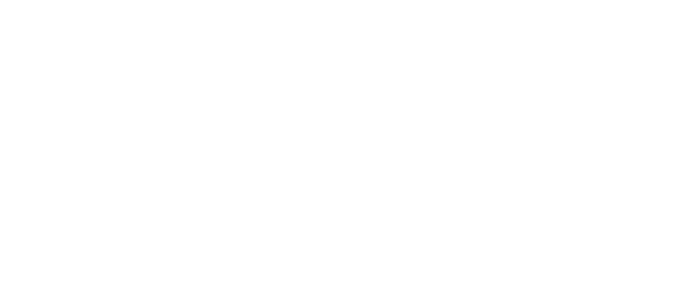 Virtu Logo white